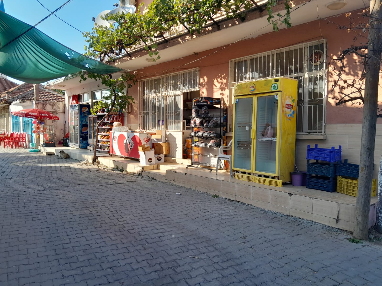 manisa-yunusemre-osmancali-mah-2-adet-satilik-i-syeri