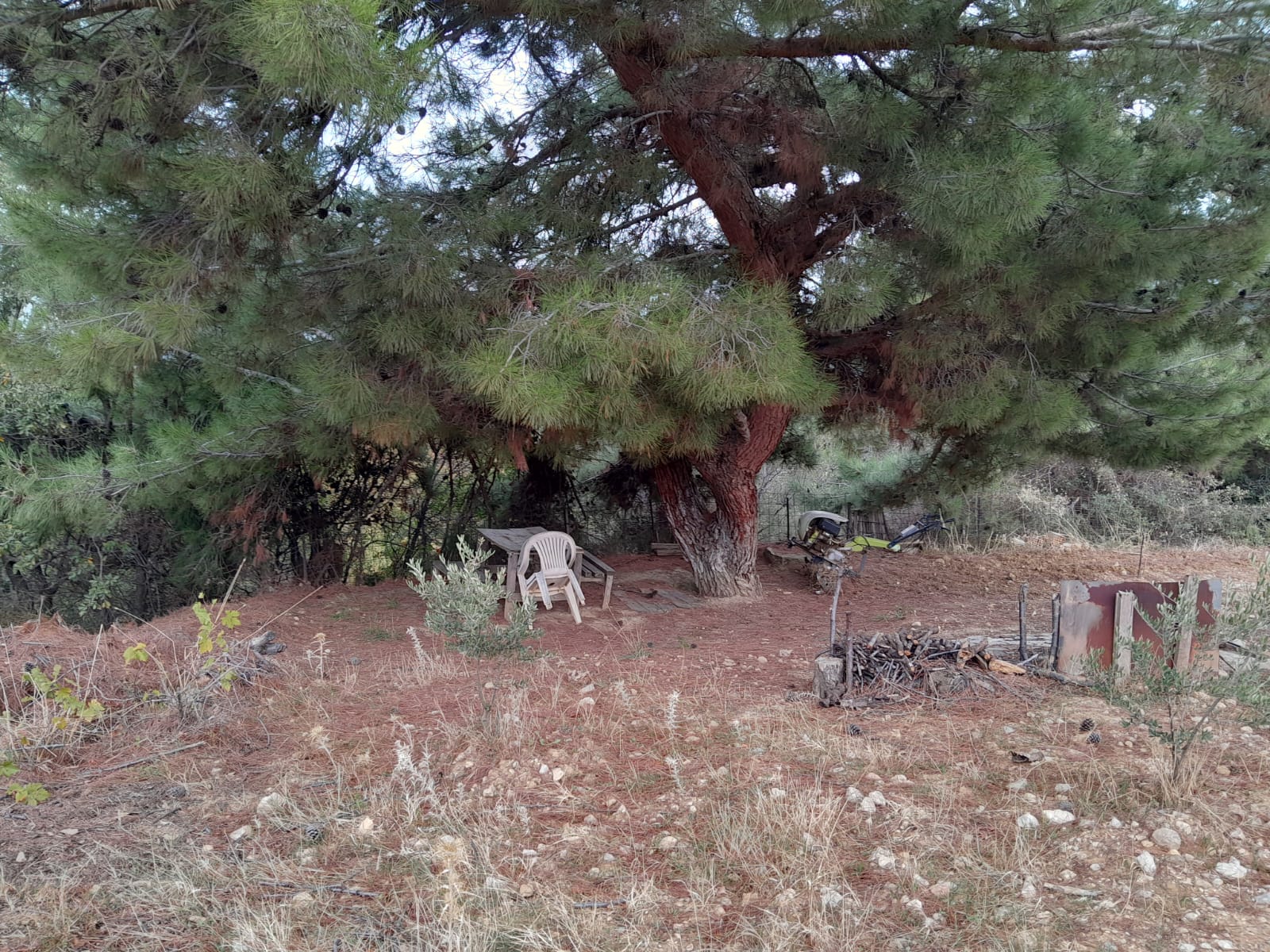 manisa-yunusemre-turgutalp-mah-1200-m2-satilik-bag-bahce